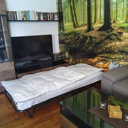 Apartment Scholle - Abc124